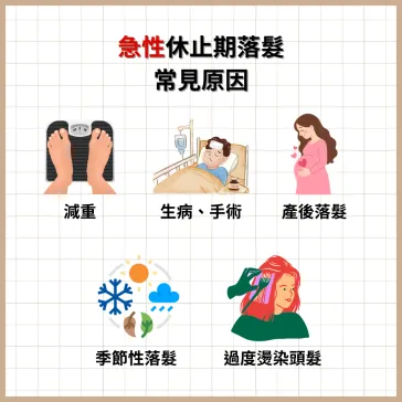 急性休止期落髮示意圖