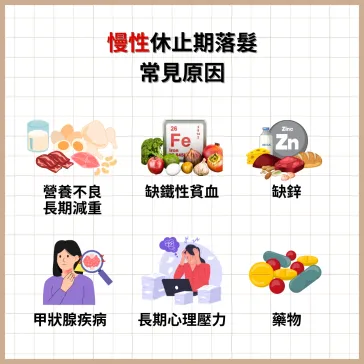 慢性休止期落髮示意圖